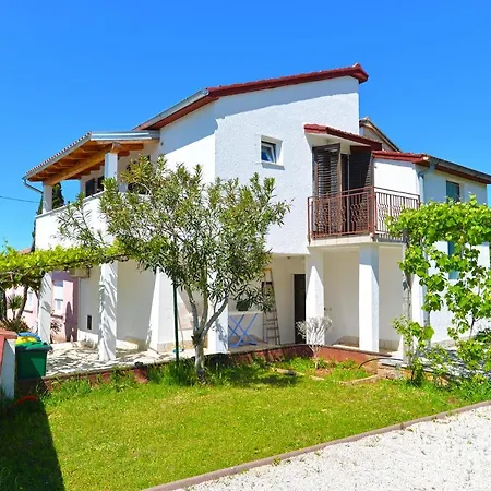 Apartment Branko 2081
